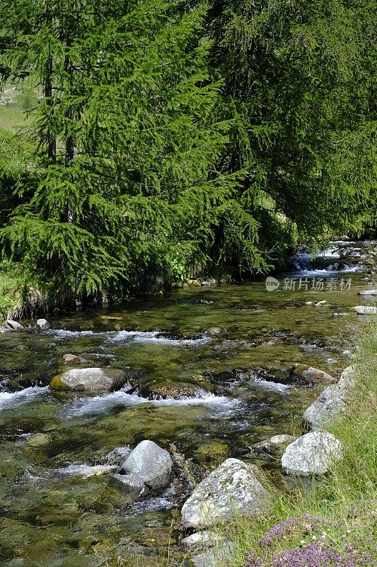 Alpe Devero - Piedmont - Italy报道